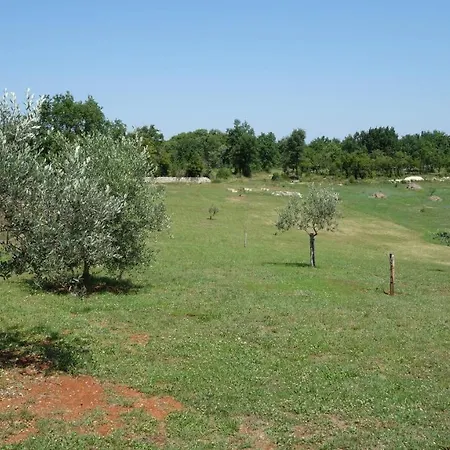 Poli Dolac Appartamento Kosinozici