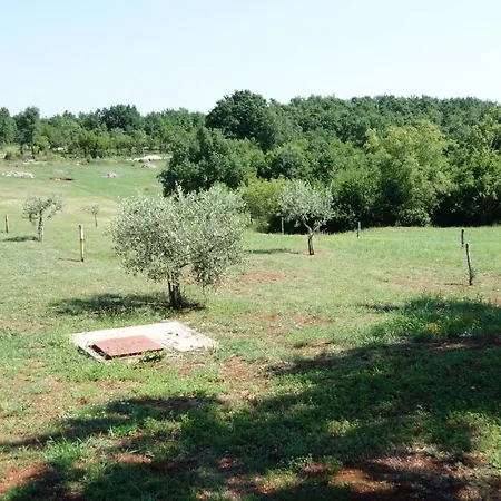 Apartment Poli Dolac