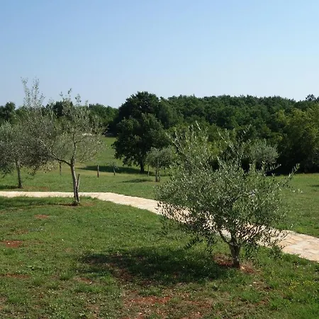 Poli Dolac Apartment Kosinozici